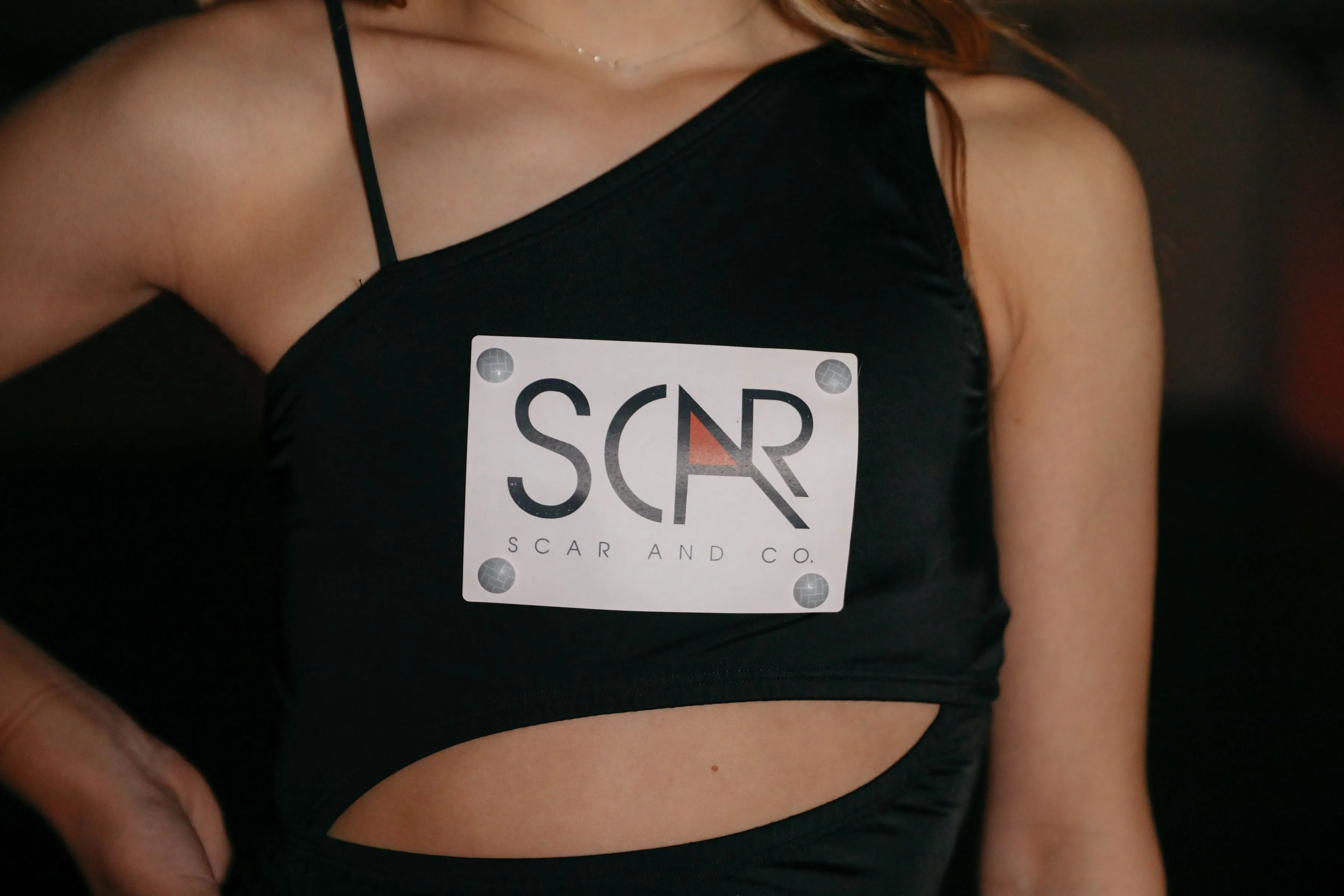 Scar and Co. Link Storage Case